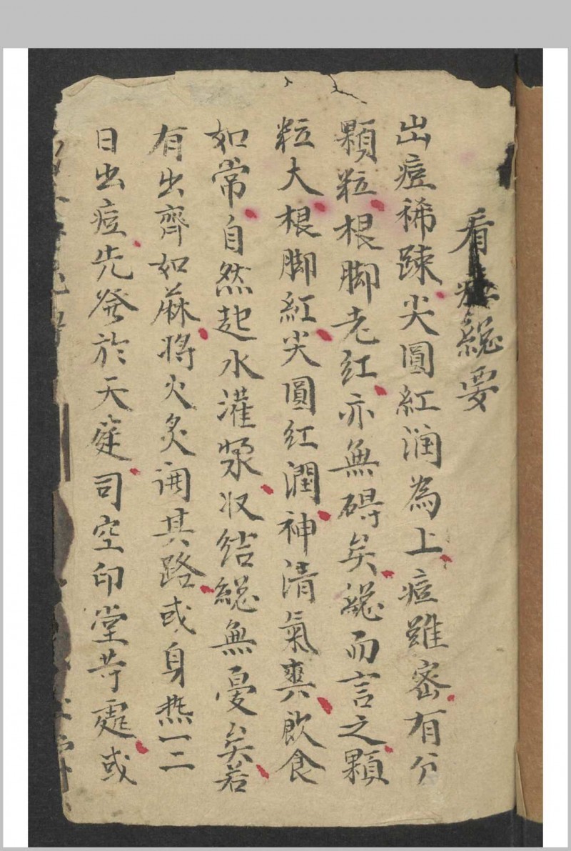 痘科秘诀 , 1900