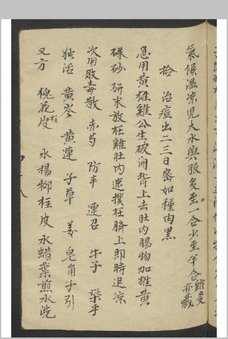 痘科秘诀 , 1900