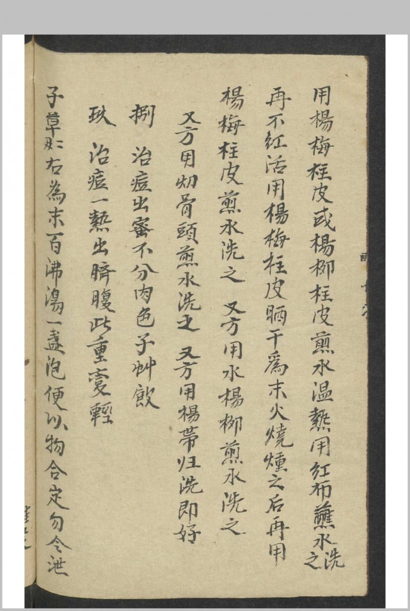 痘科秘诀 , 1900