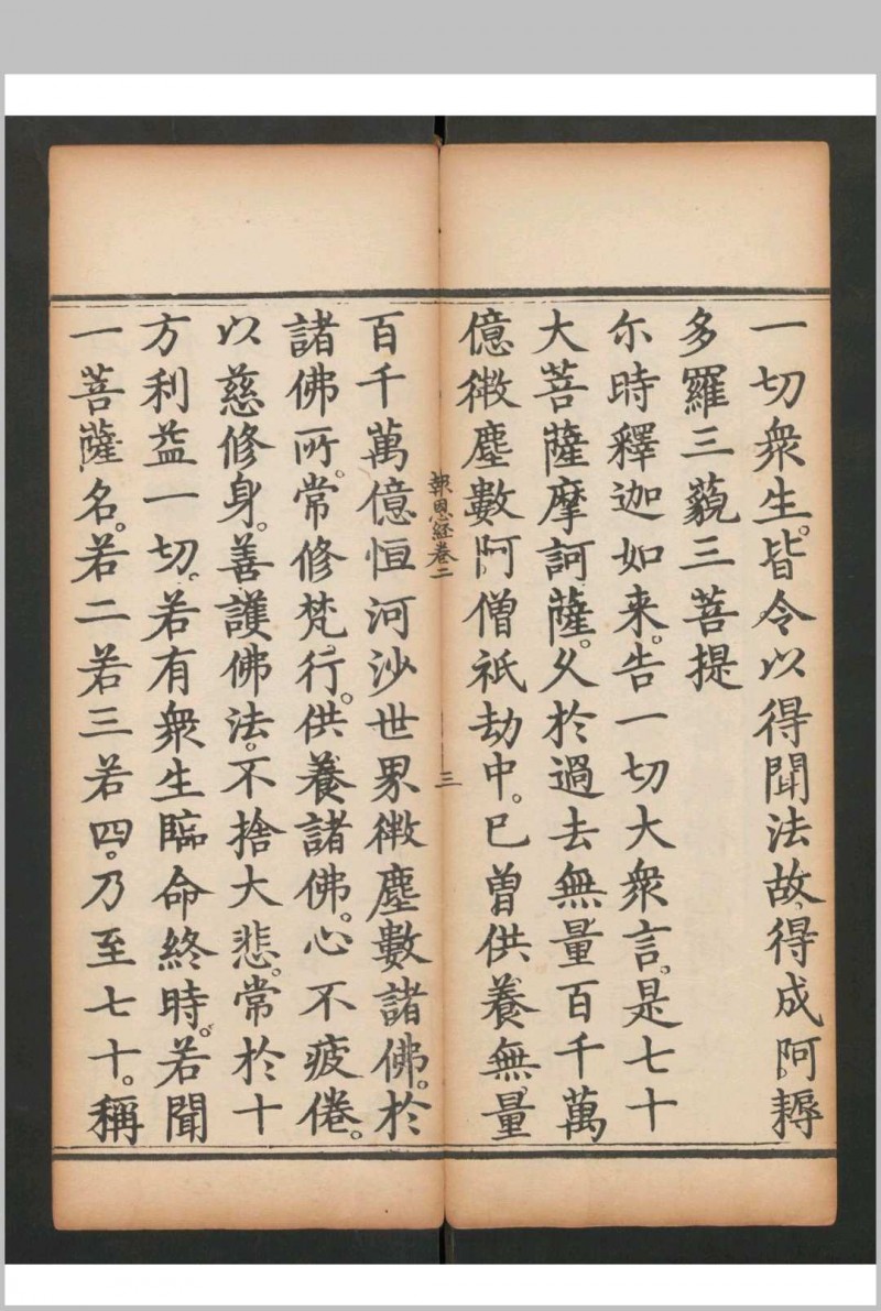 大方便佛报恩经 , 1700(存卷2-3)