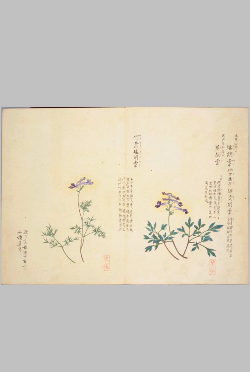 梅园百花画谱.目录.春夏秋冬四部.毛利梅园.书画.1825年序