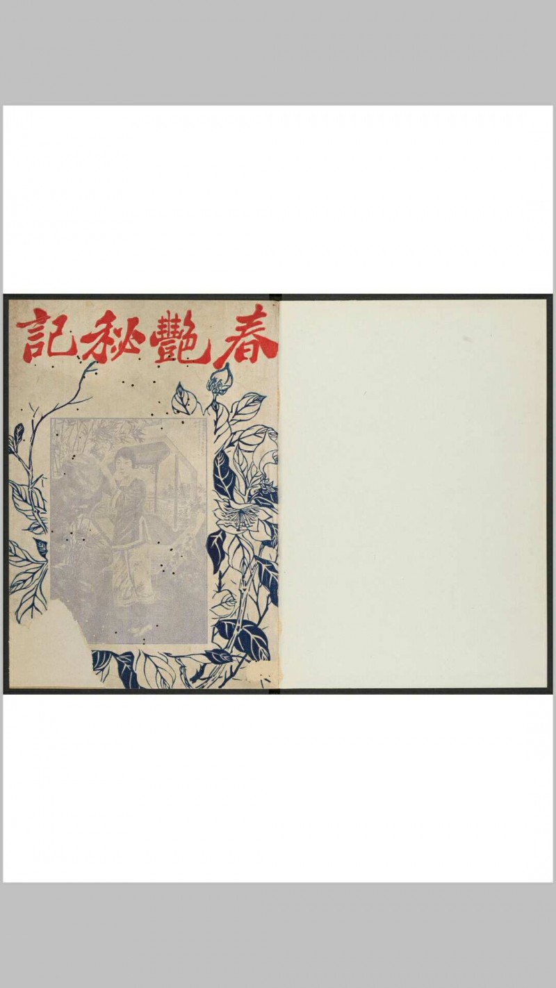 春艳秘记. 上海 志成书庄, 1923