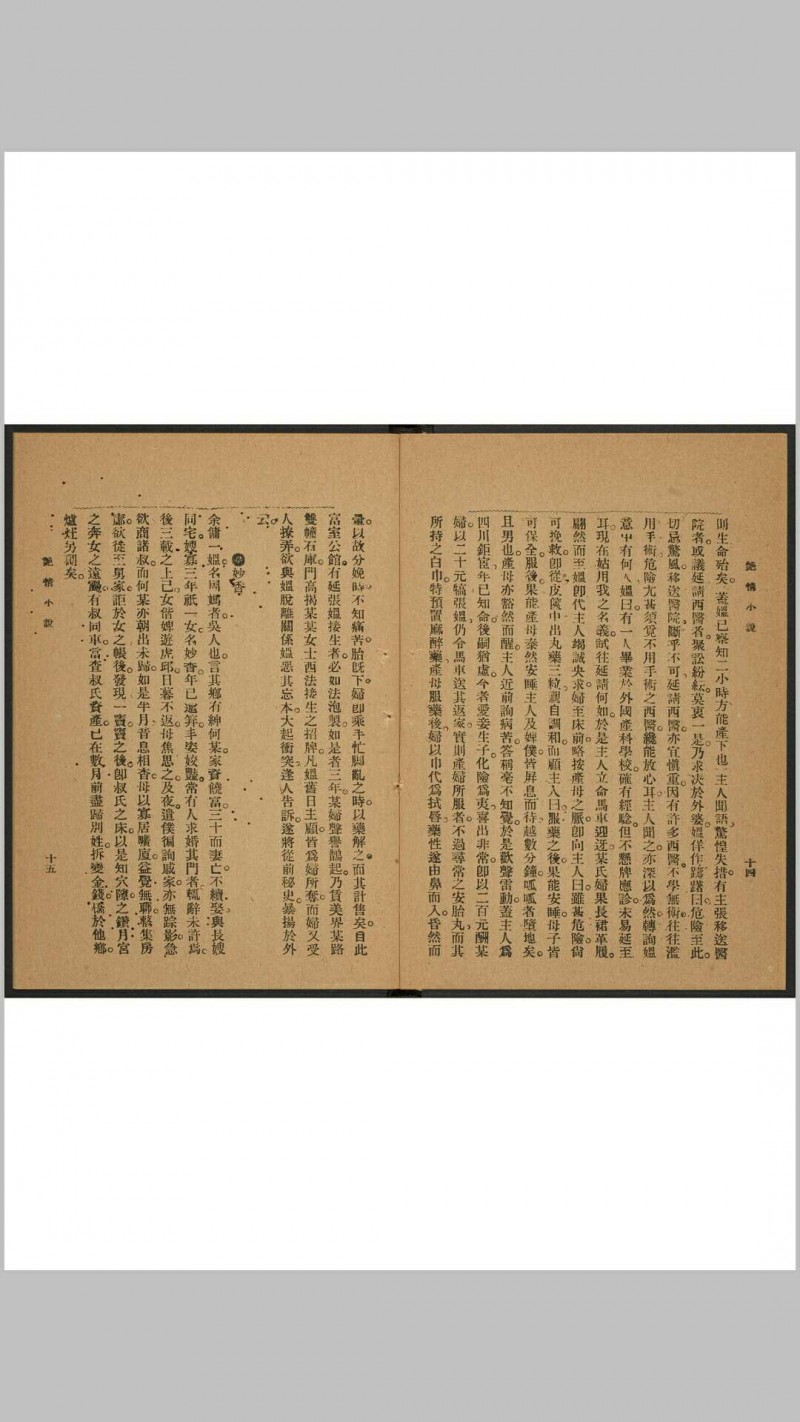 春艳秘记. 上海 志成书庄, 1923