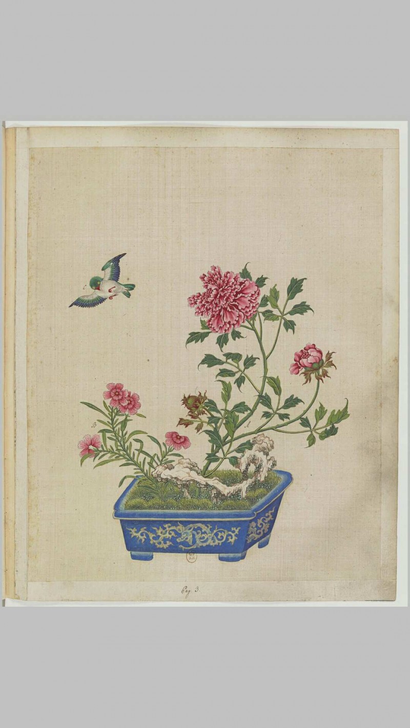 盆景花鸟图册.Fleurs.oiseaux et insectes.两卷.外销画.约十八世纪