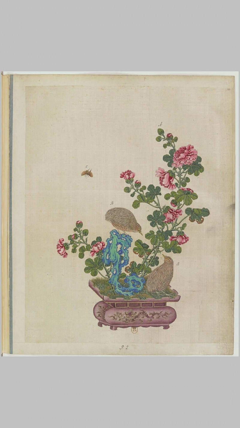 盆景花鸟图册.Fleurs.oiseaux et insectes.两卷.外销画.约十八世纪