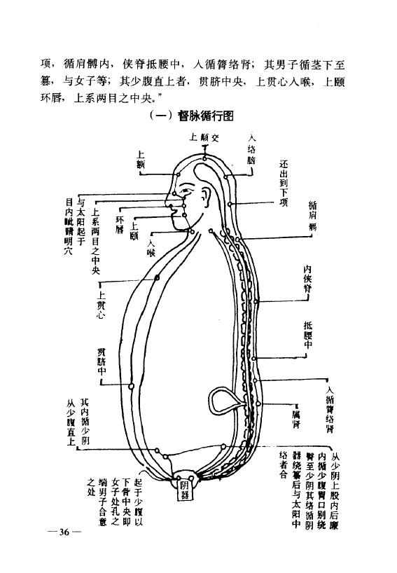 丹山隐士 向焕伦《中华传统养生秘笈》 易学 第5张